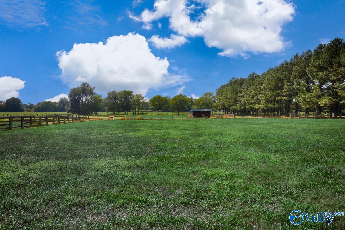 796 Mint Springs Road