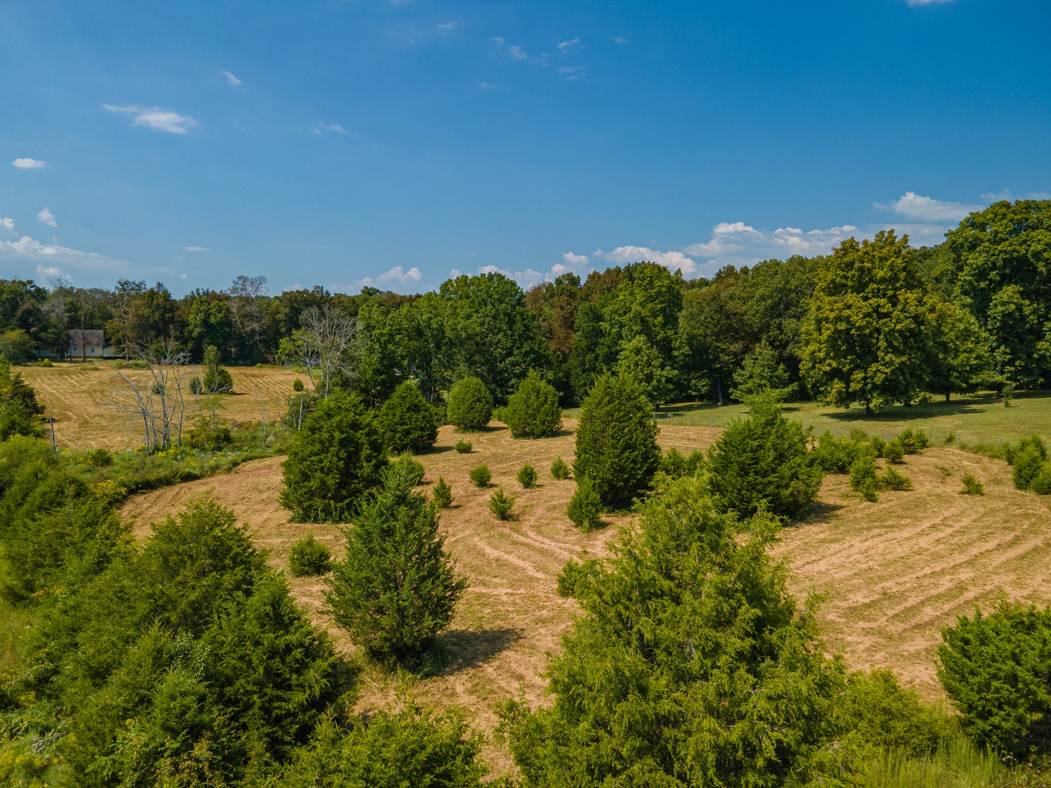 4757 Wildberry Ln