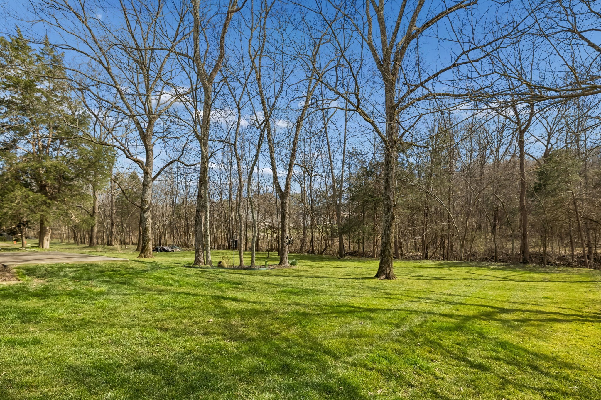 536 Great Angelica Way