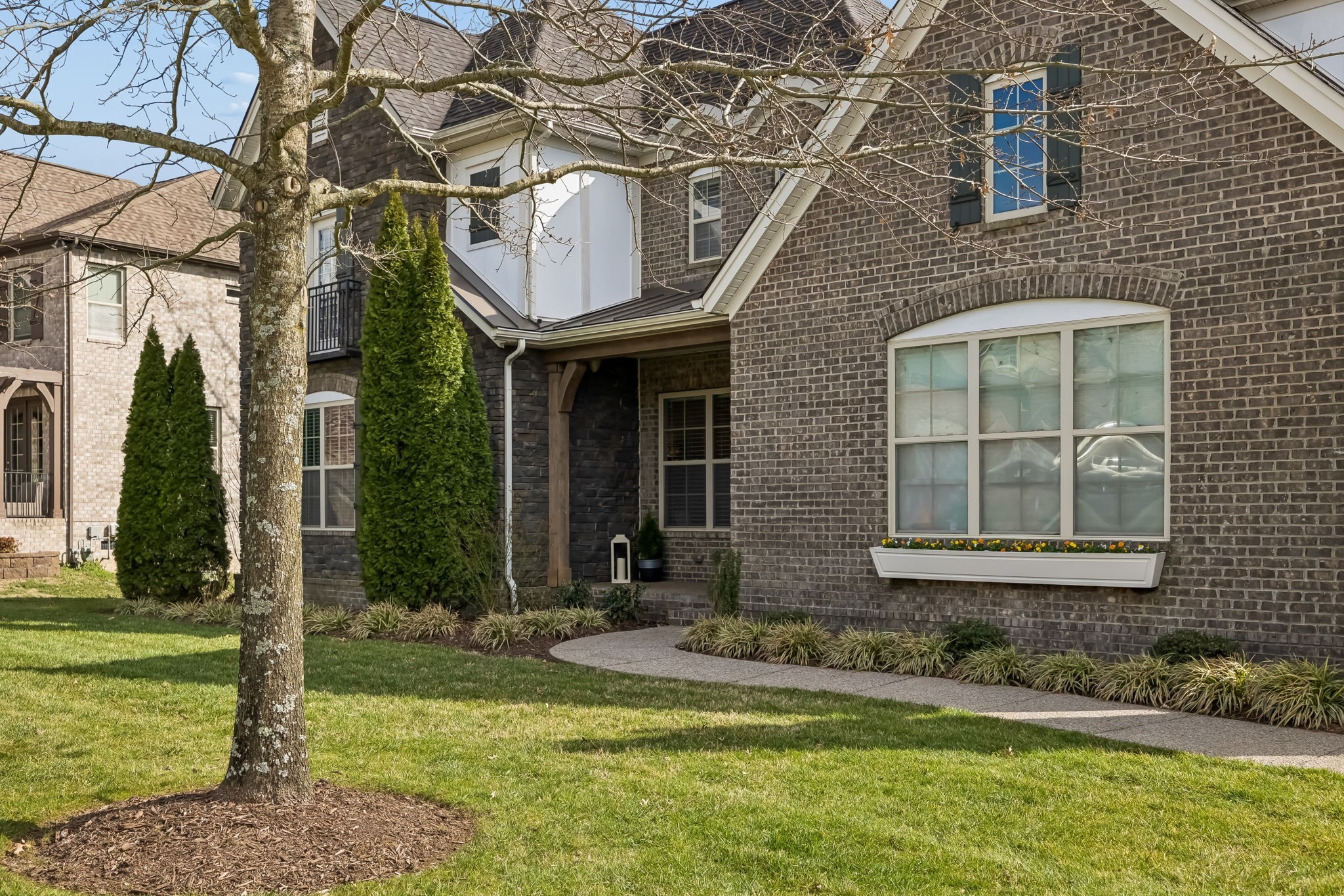 536 Great Angelica Way