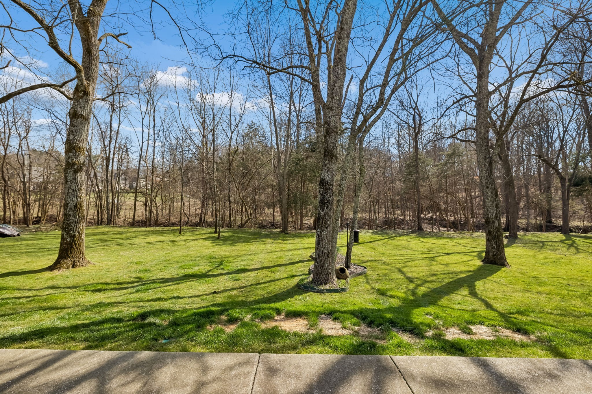 536 Great Angelica Way