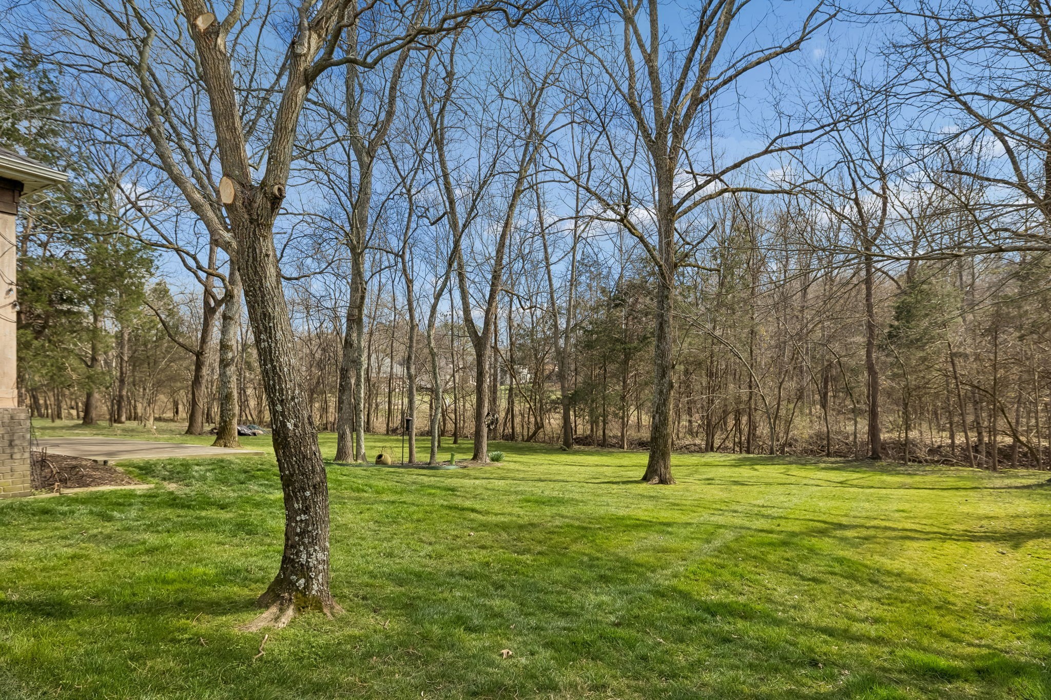 536 Great Angelica Way