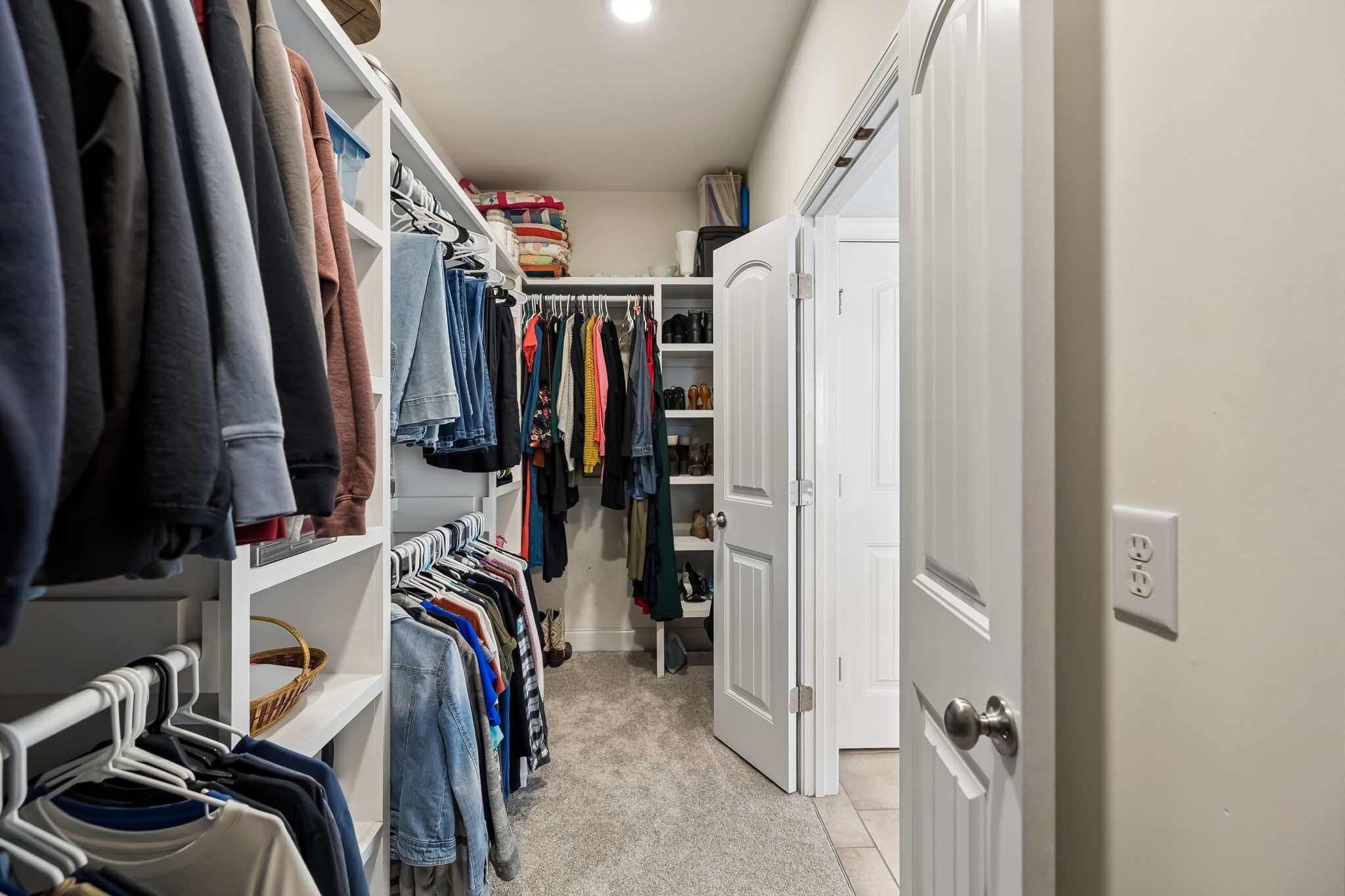536 Great Angelica Way