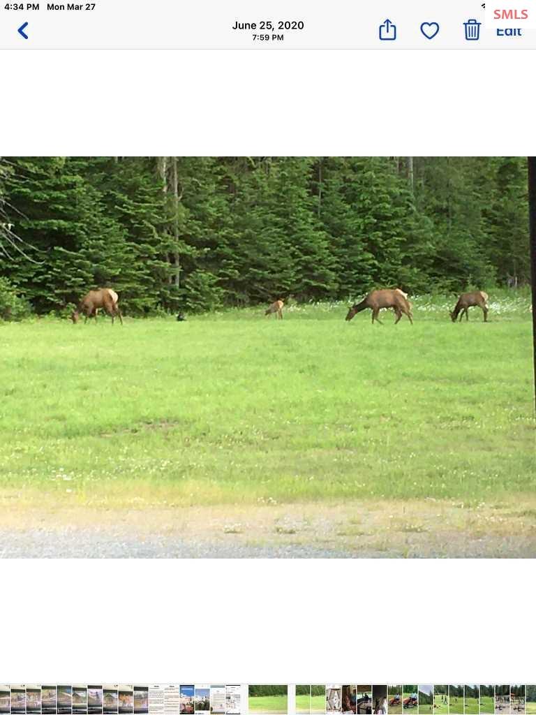 2732 Lower Pack River Road