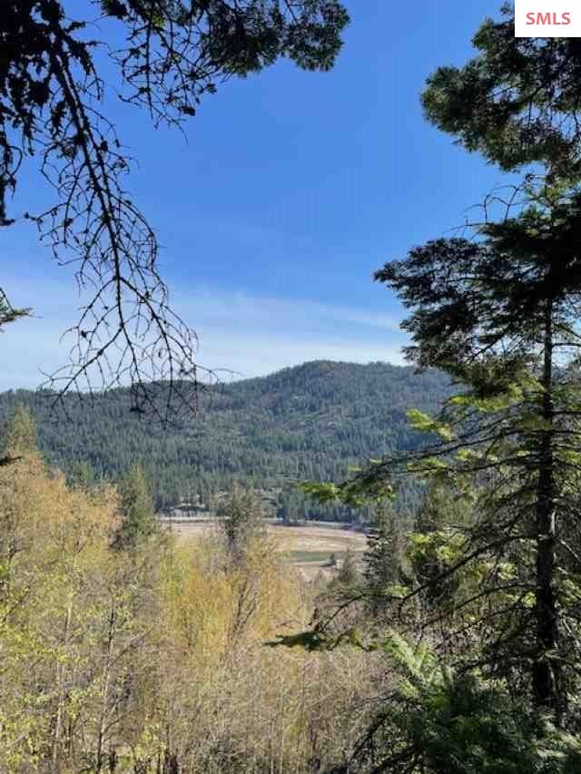 39 Forest Highland