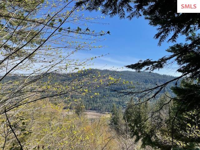 39 Forest Highland