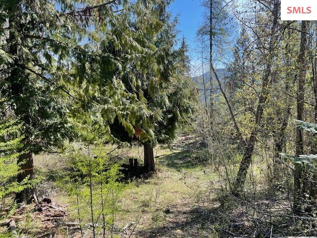 39 Forest Highland