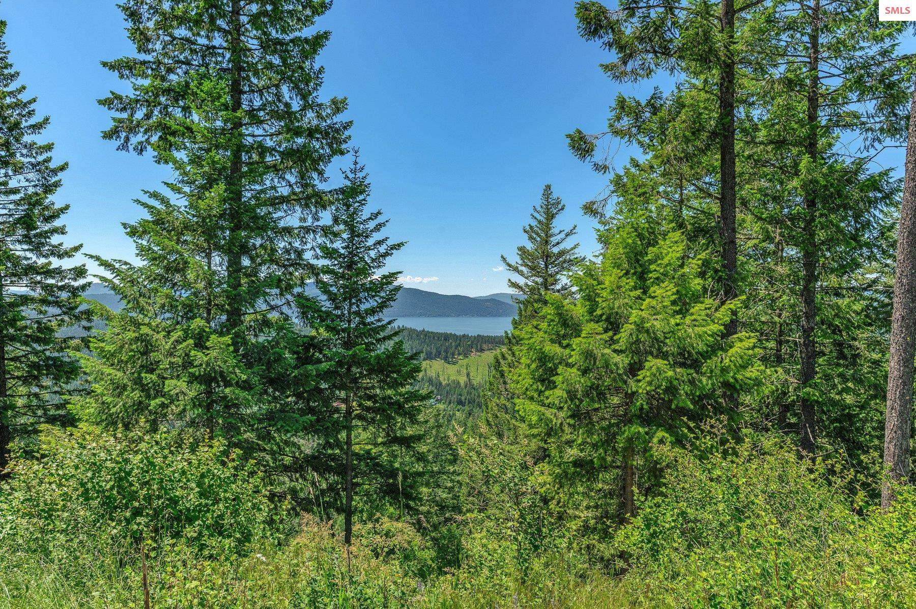 NNA T1-A Green Monarch