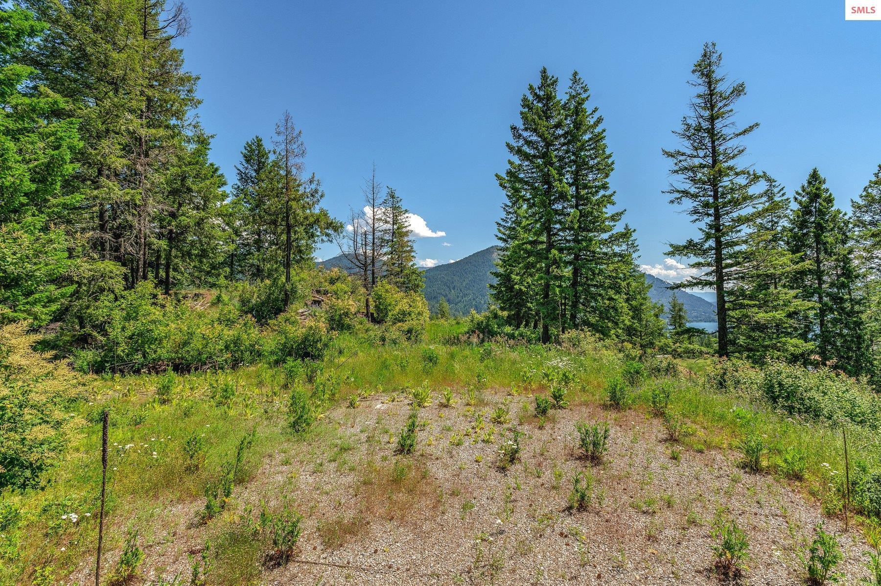 NNA T1-A Green Monarch