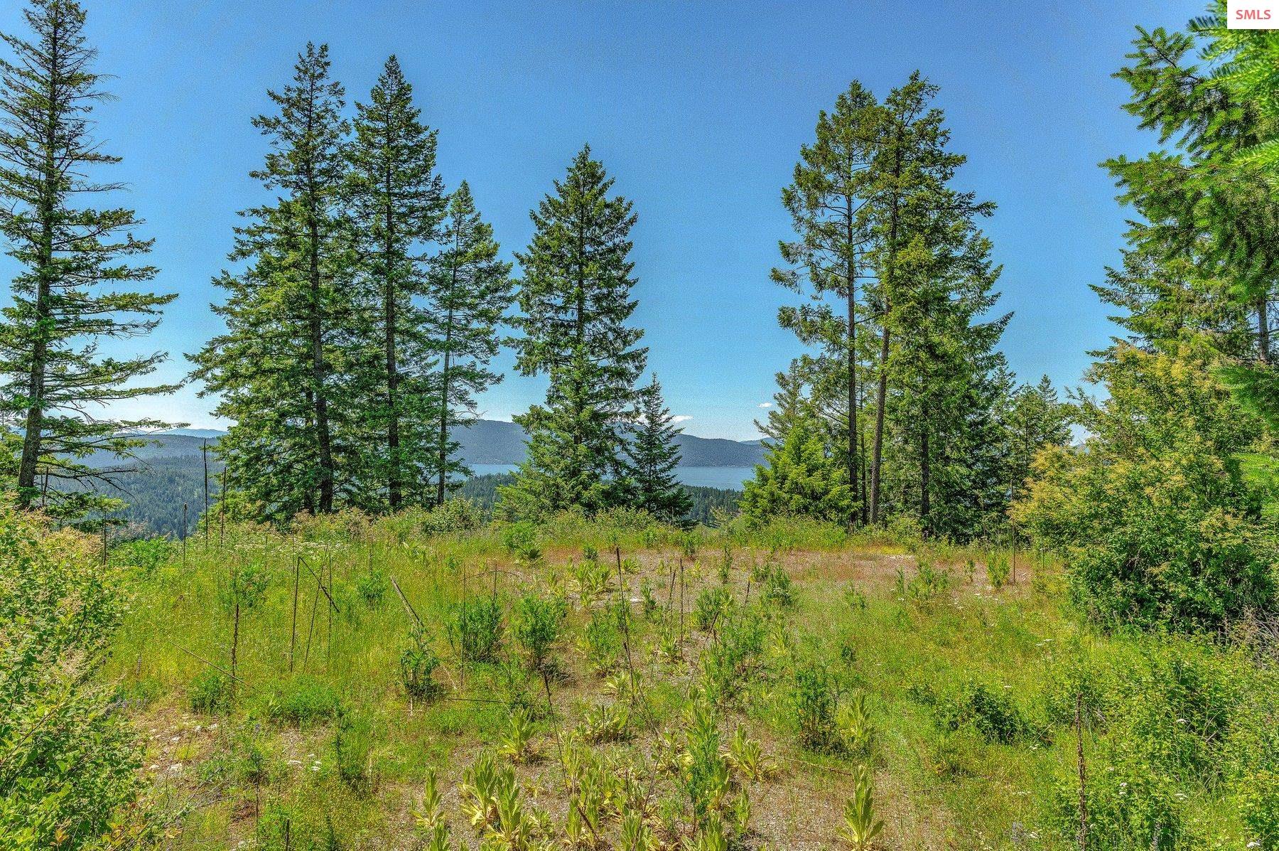 NNA T1-A Green Monarch