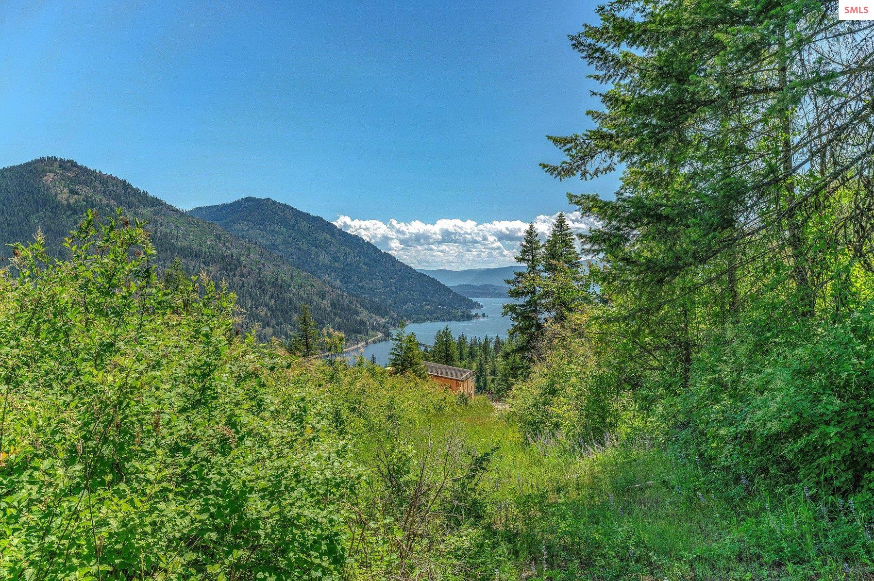 NNA T1-A Green Monarch