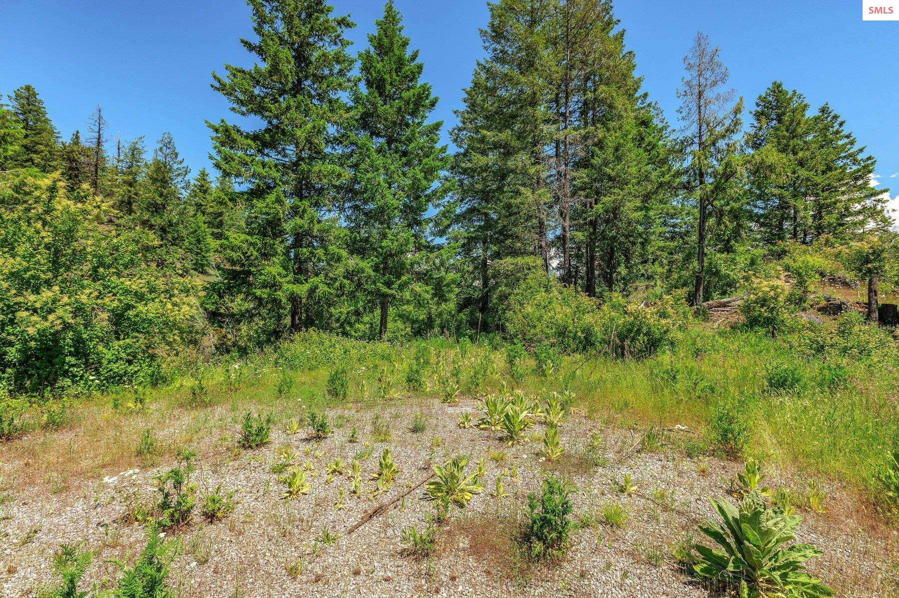 NNA T1-A Green Monarch