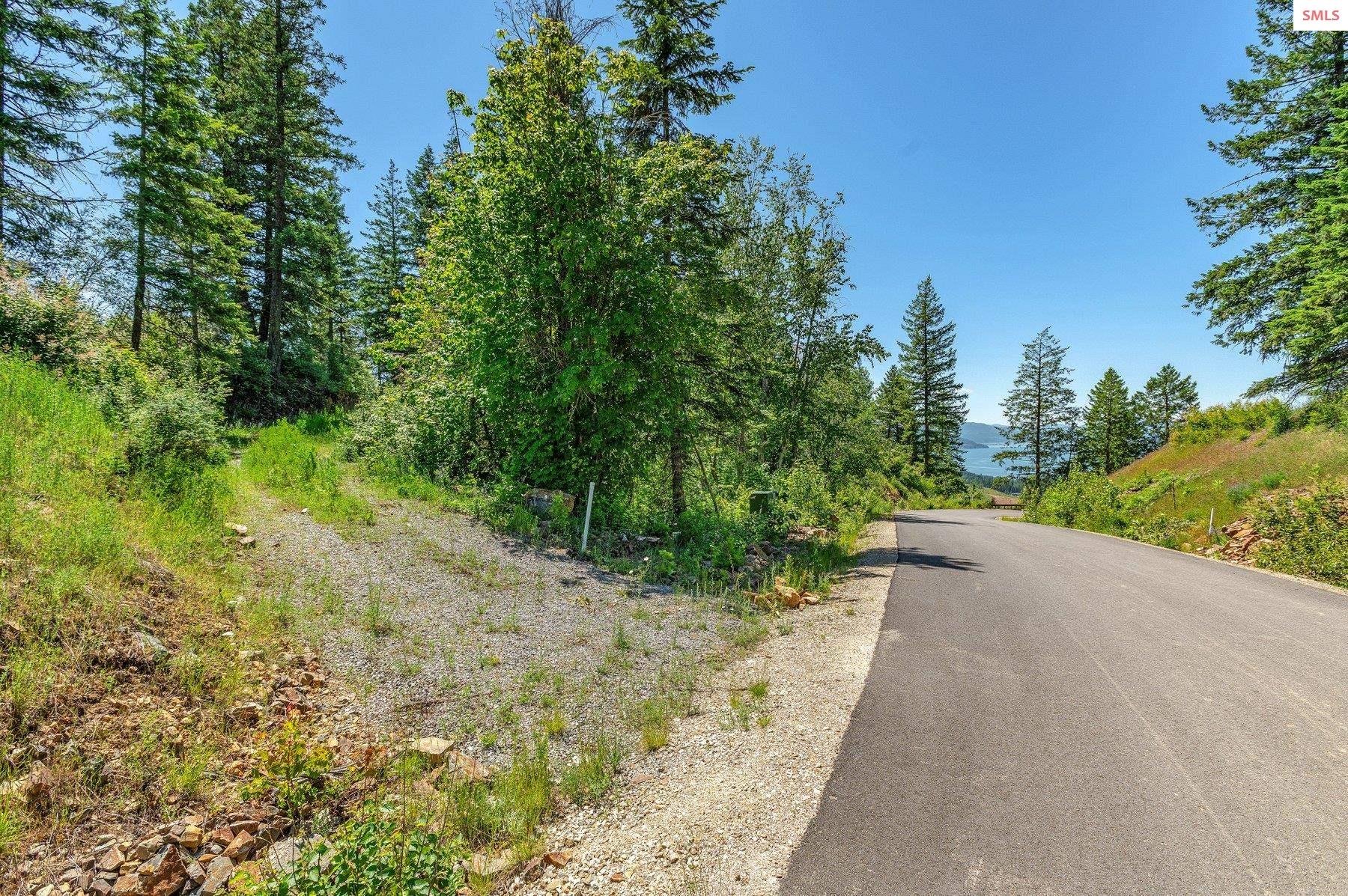 NNA T1-A Green Monarch