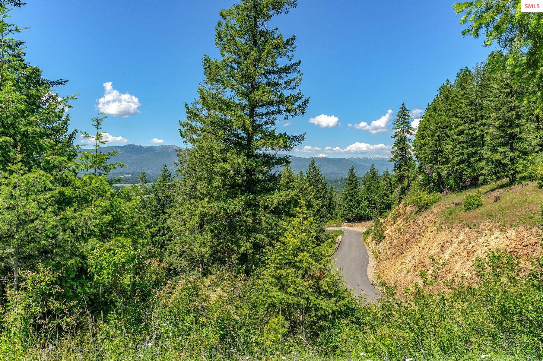 NNA T1-A Green Monarch