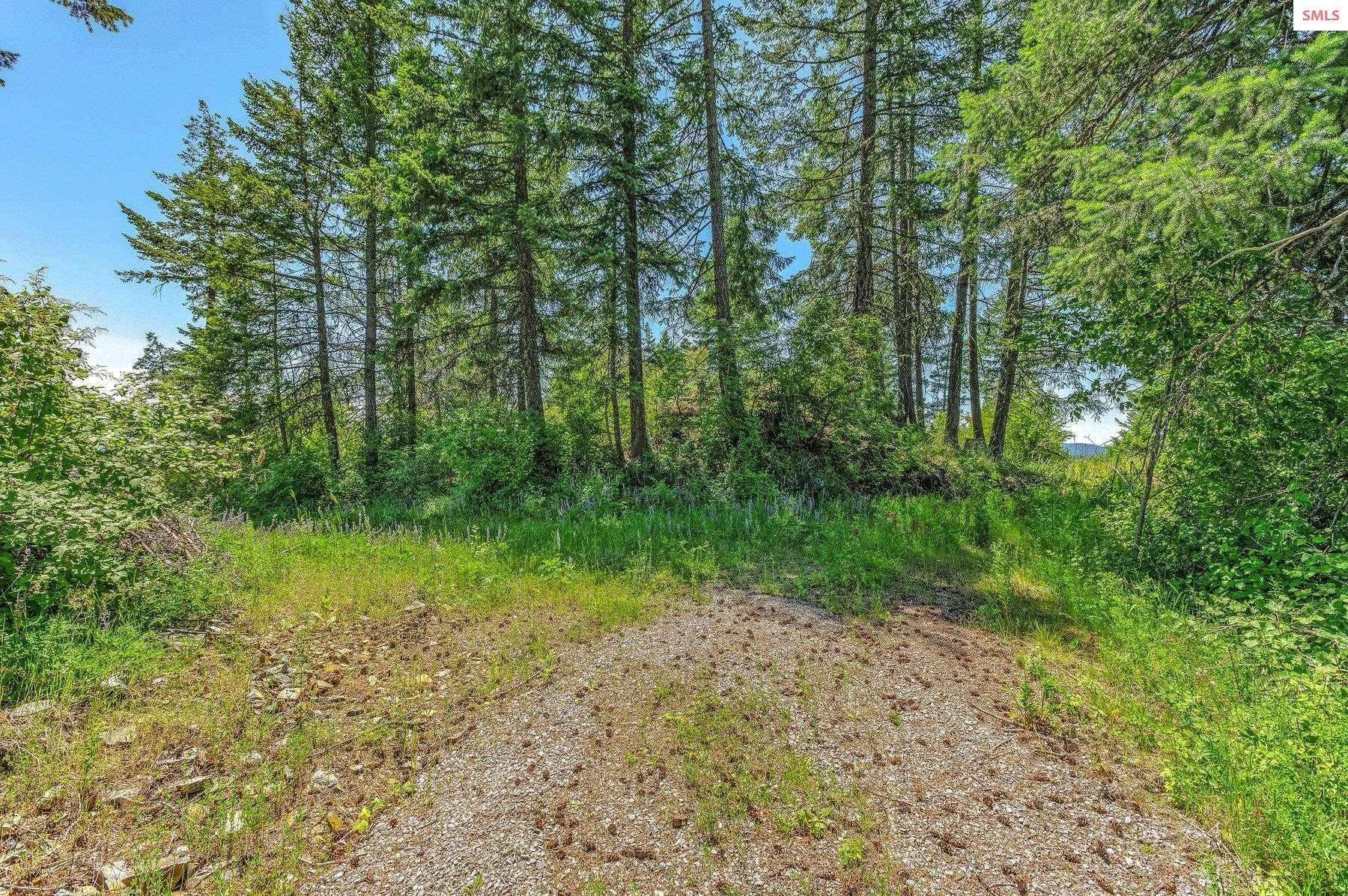 NNA T1-A Green Monarch