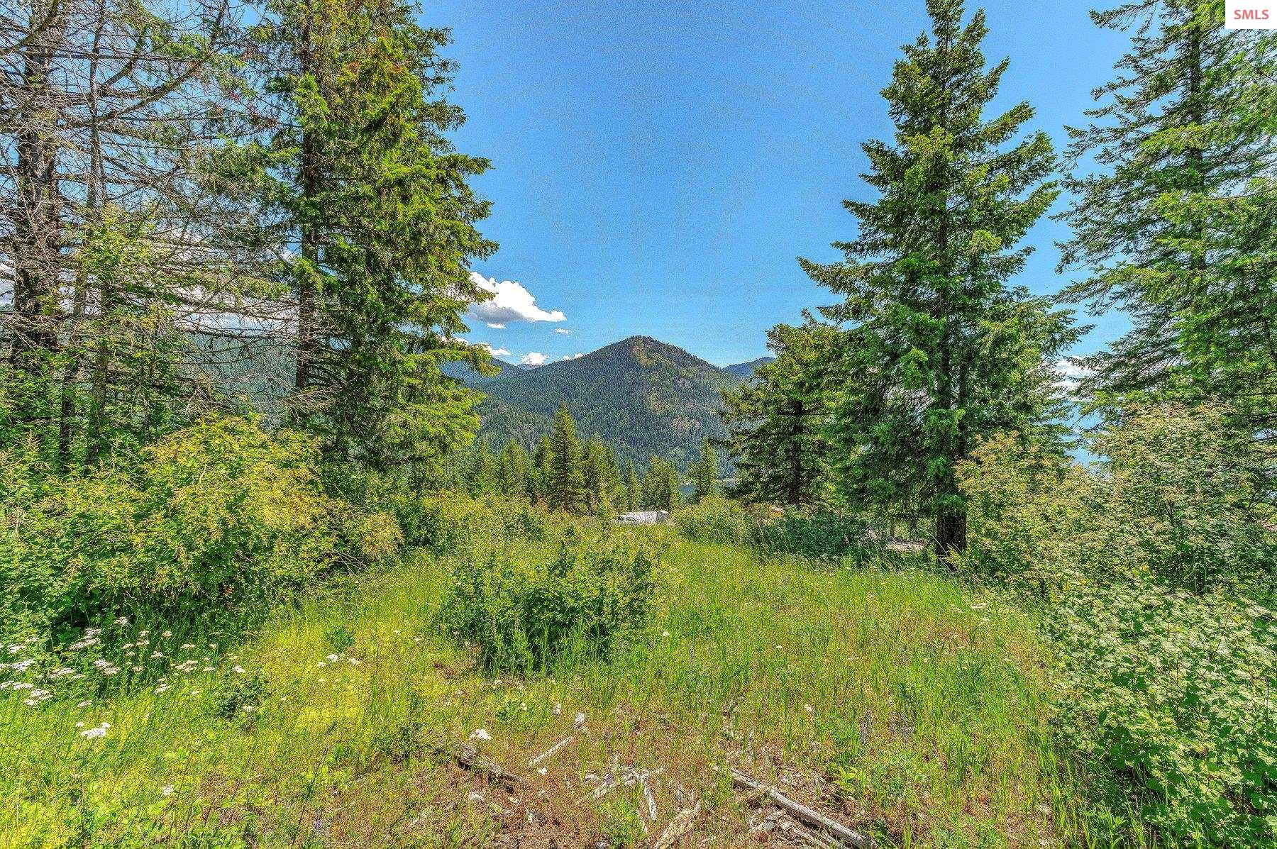 NNA T1-A Green Monarch