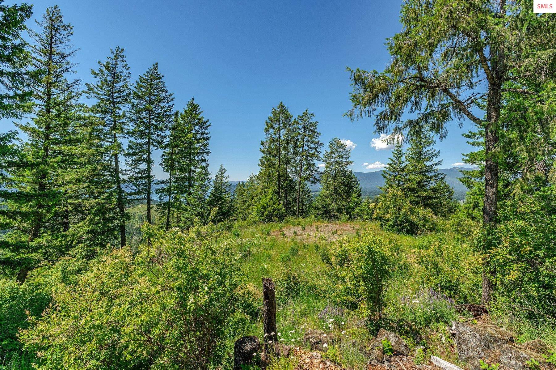 NNA T1-A Green Monarch