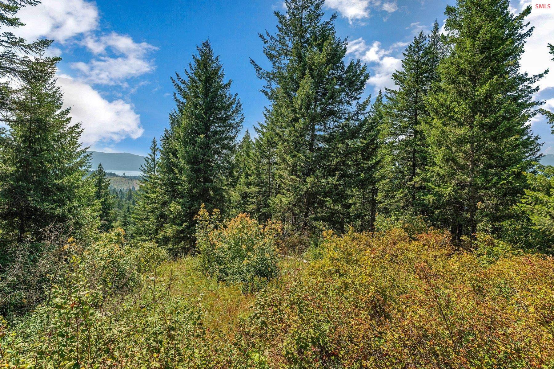 NNA E27 Wildridge Way