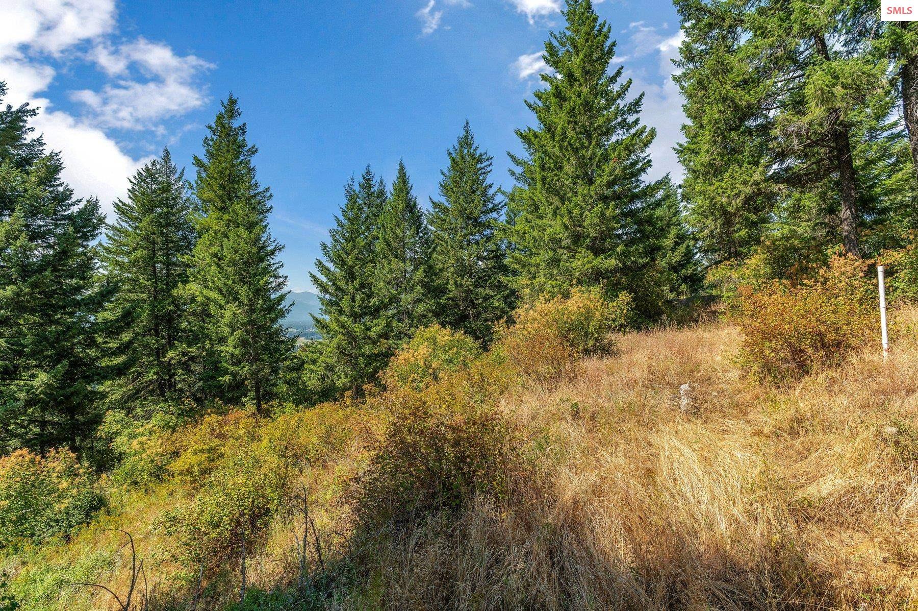 NNA E27 Wildridge Way