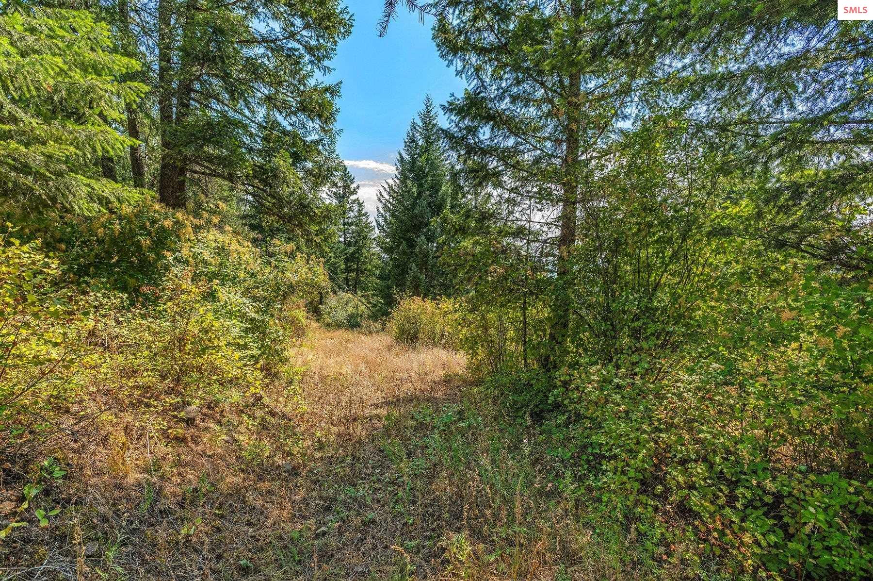 NNA E27 Wildridge Way