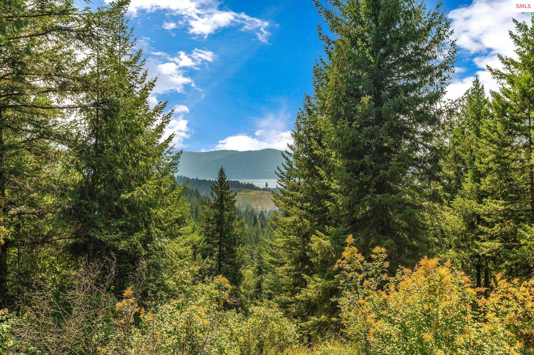 NNA E27 Wildridge Way