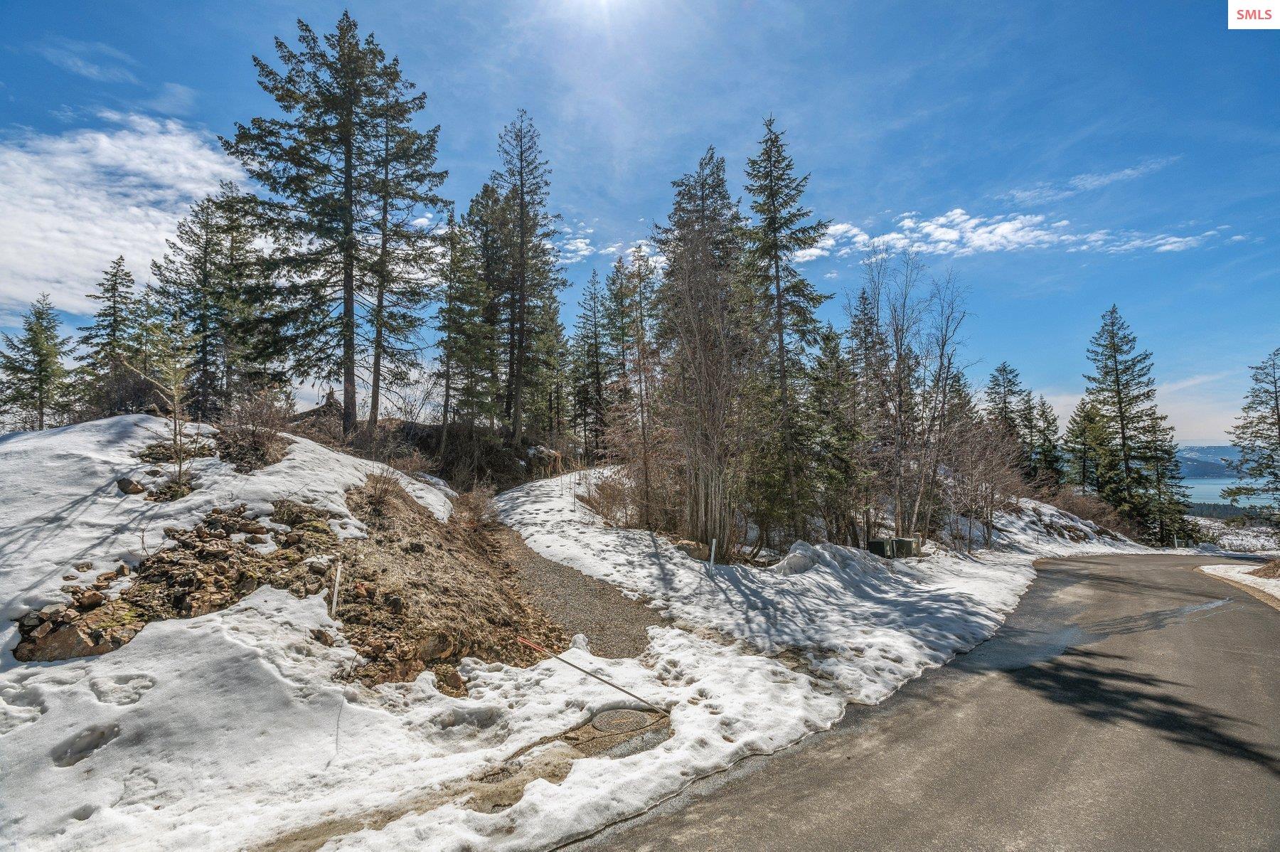 NNA T1-B Green Monarch