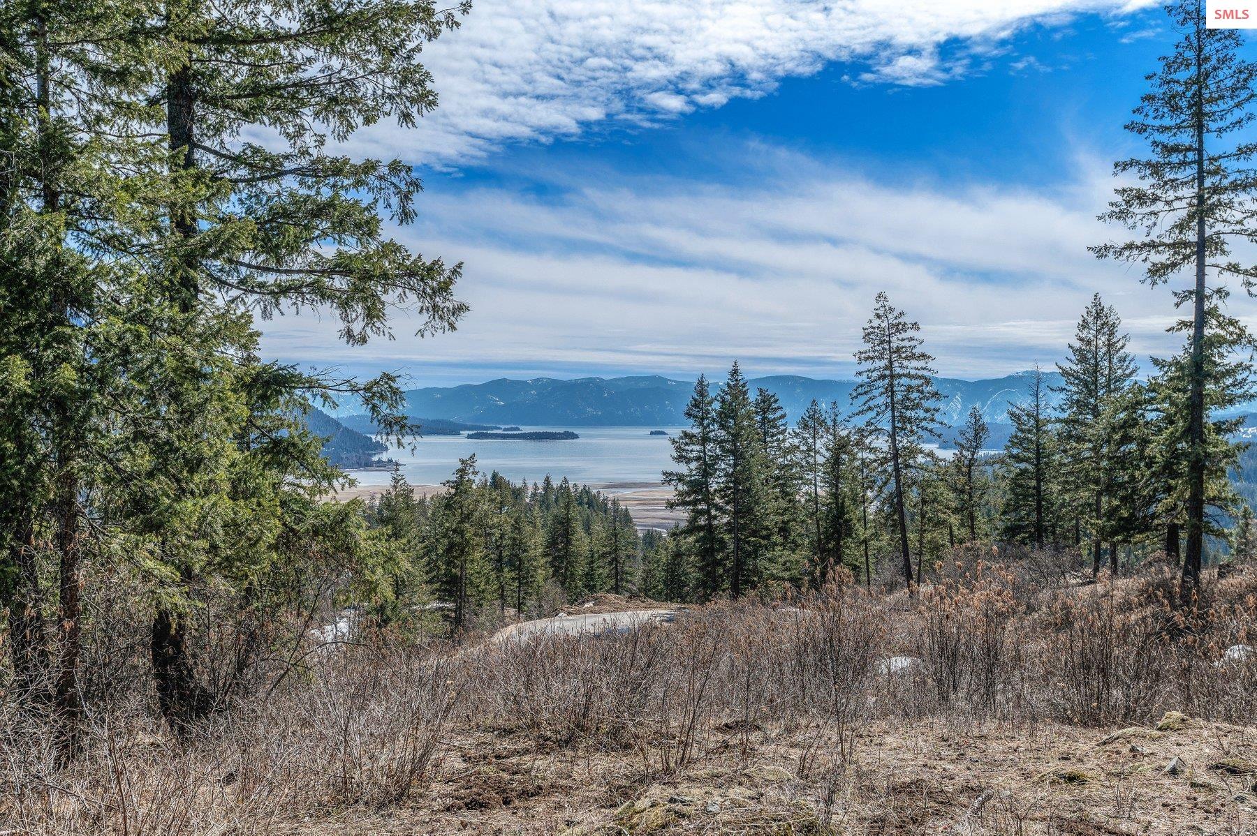 NNA T1-B Green Monarch