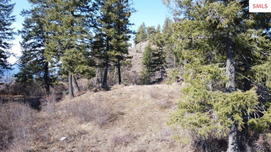 NNA T1-B Green Monarch