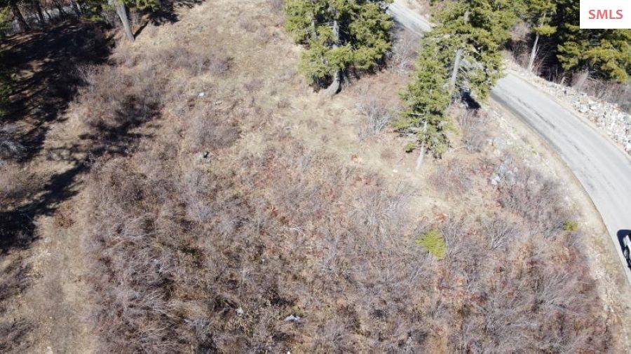 NNA T1-B Green Monarch