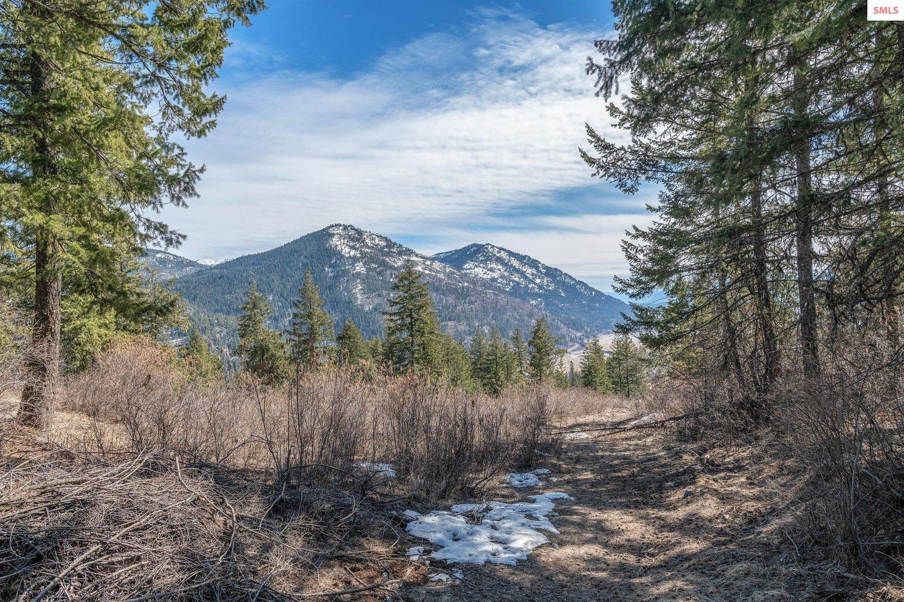 NNA T1-B Green Monarch