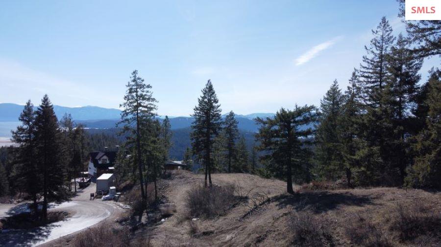 NNA T1-B Green Monarch