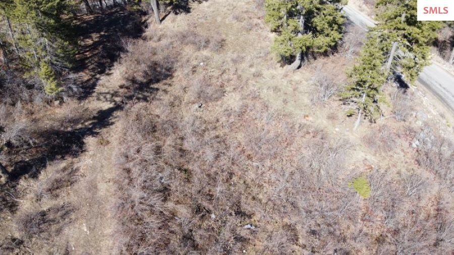 NNA T1-B Green Monarch