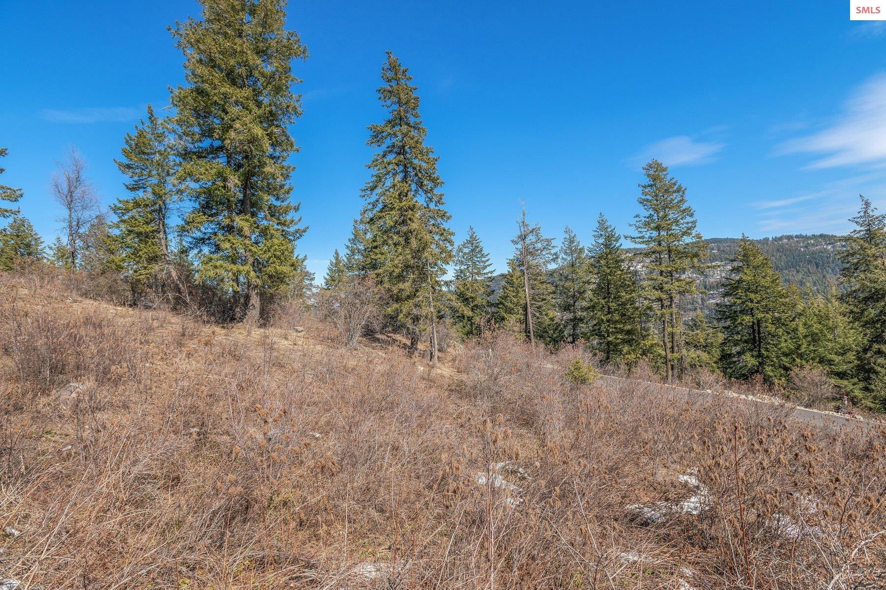 NNA T1-B Green Monarch