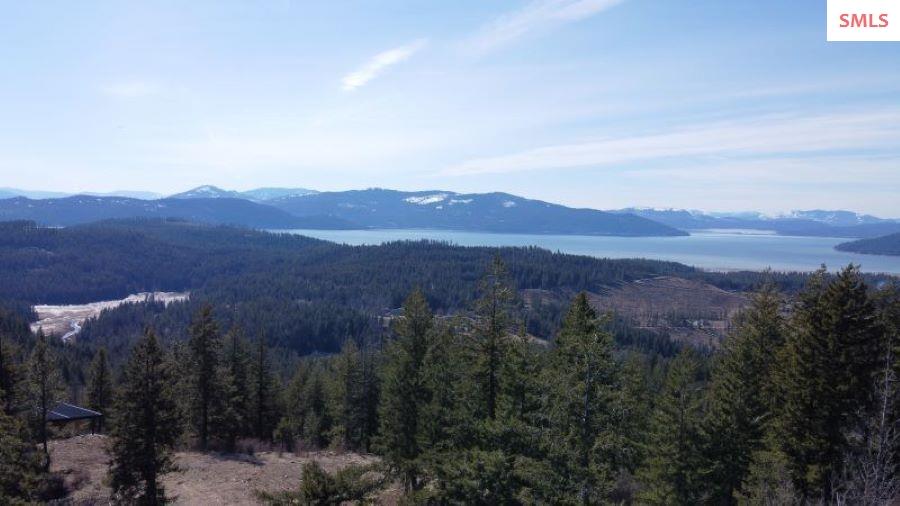 NNA T1-B Green Monarch