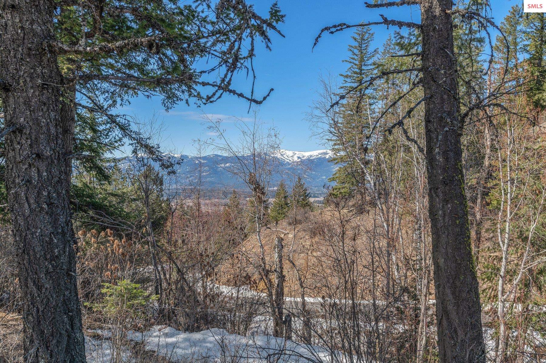 NNA T1-B Green Monarch