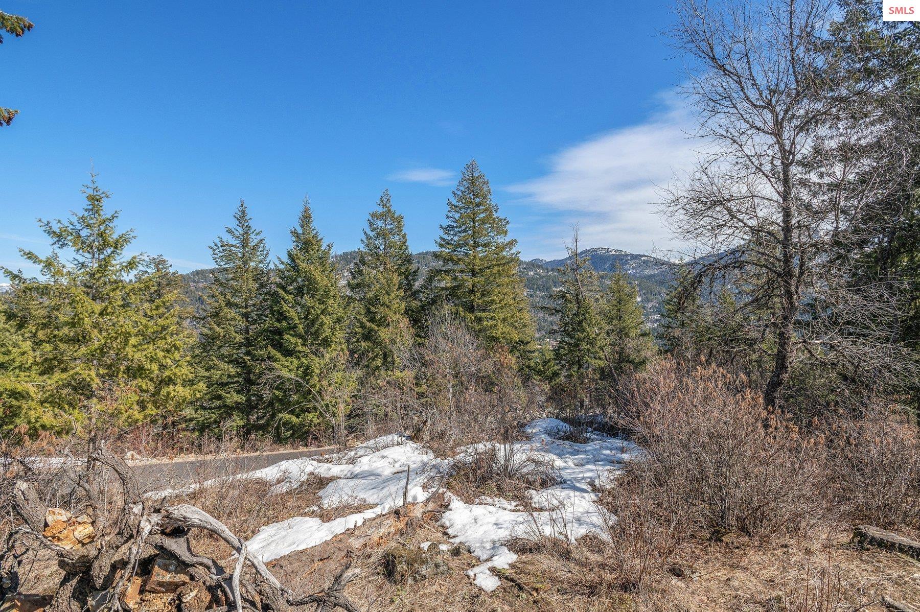 NNA T1-B Green Monarch