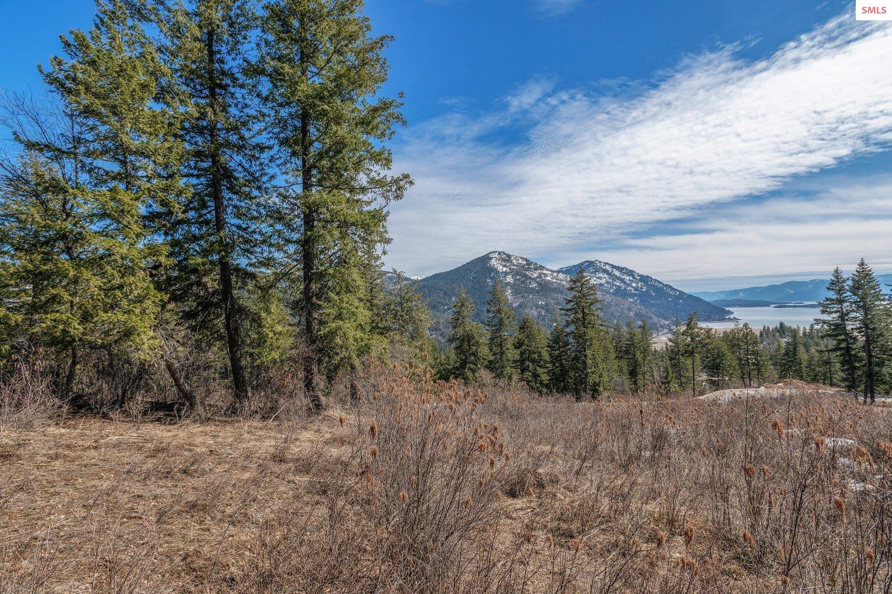 NNA T1-B Green Monarch