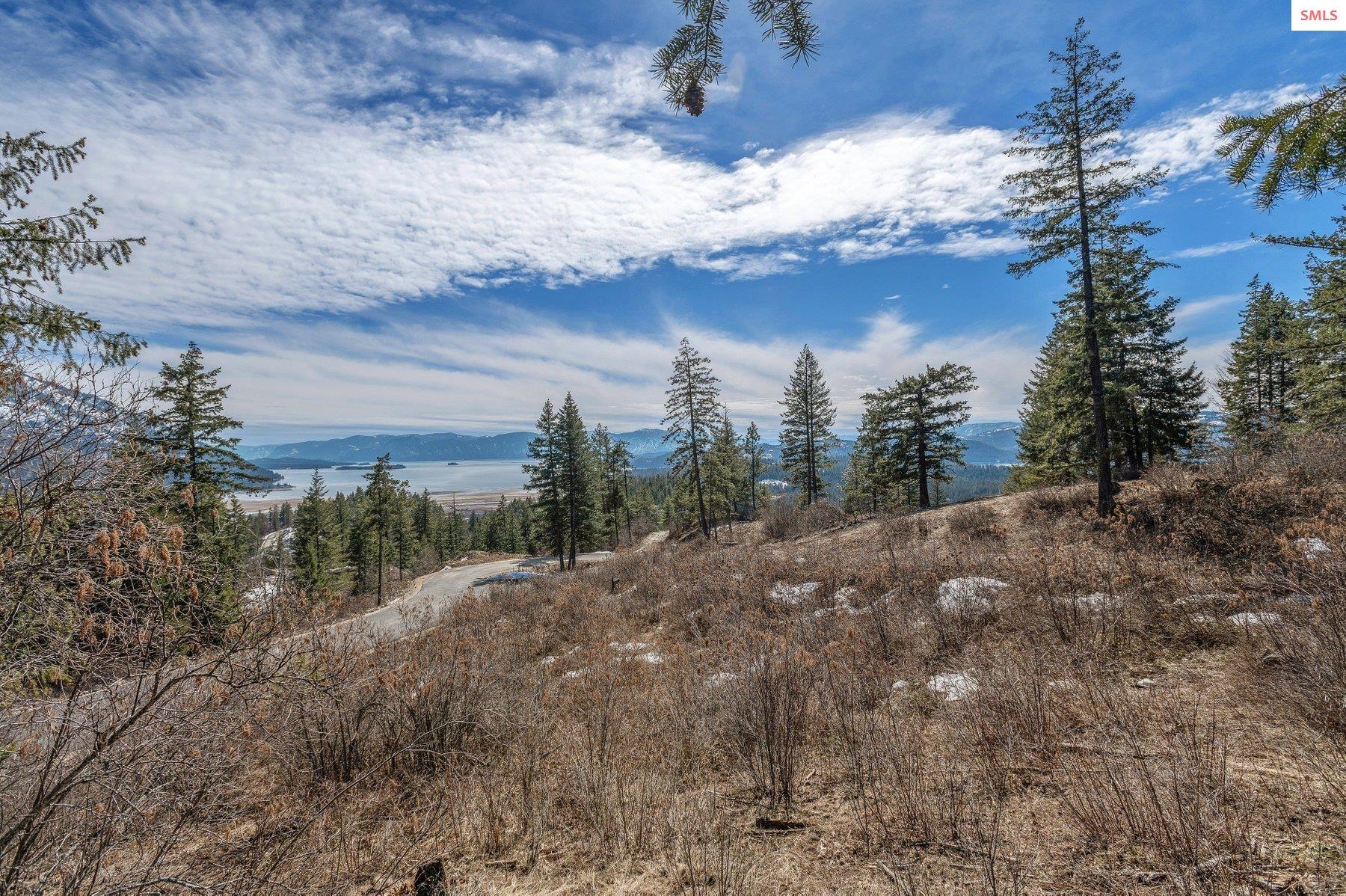 NNA T1-B Green Monarch