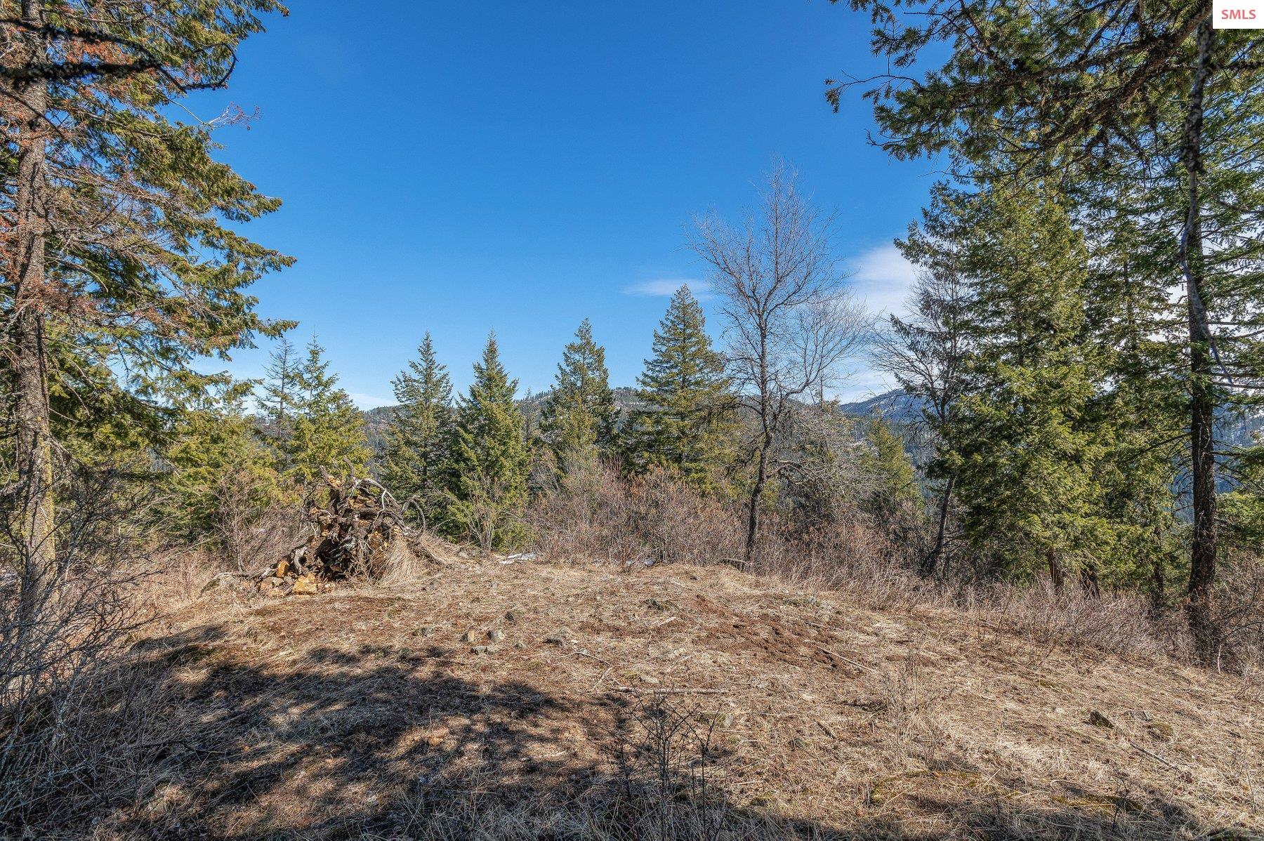 NNA T1-B Green Monarch