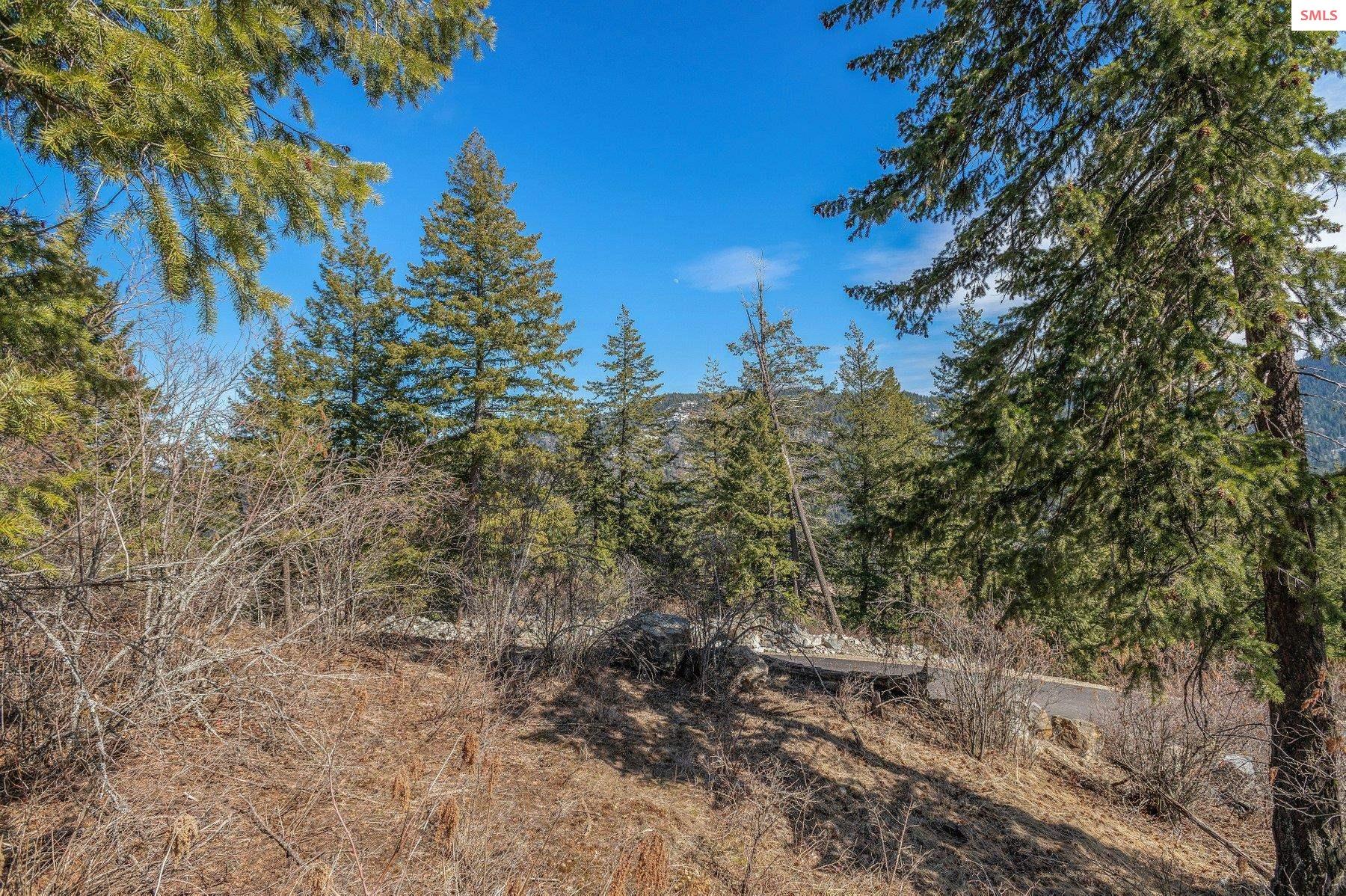 NNA T1-B Green Monarch