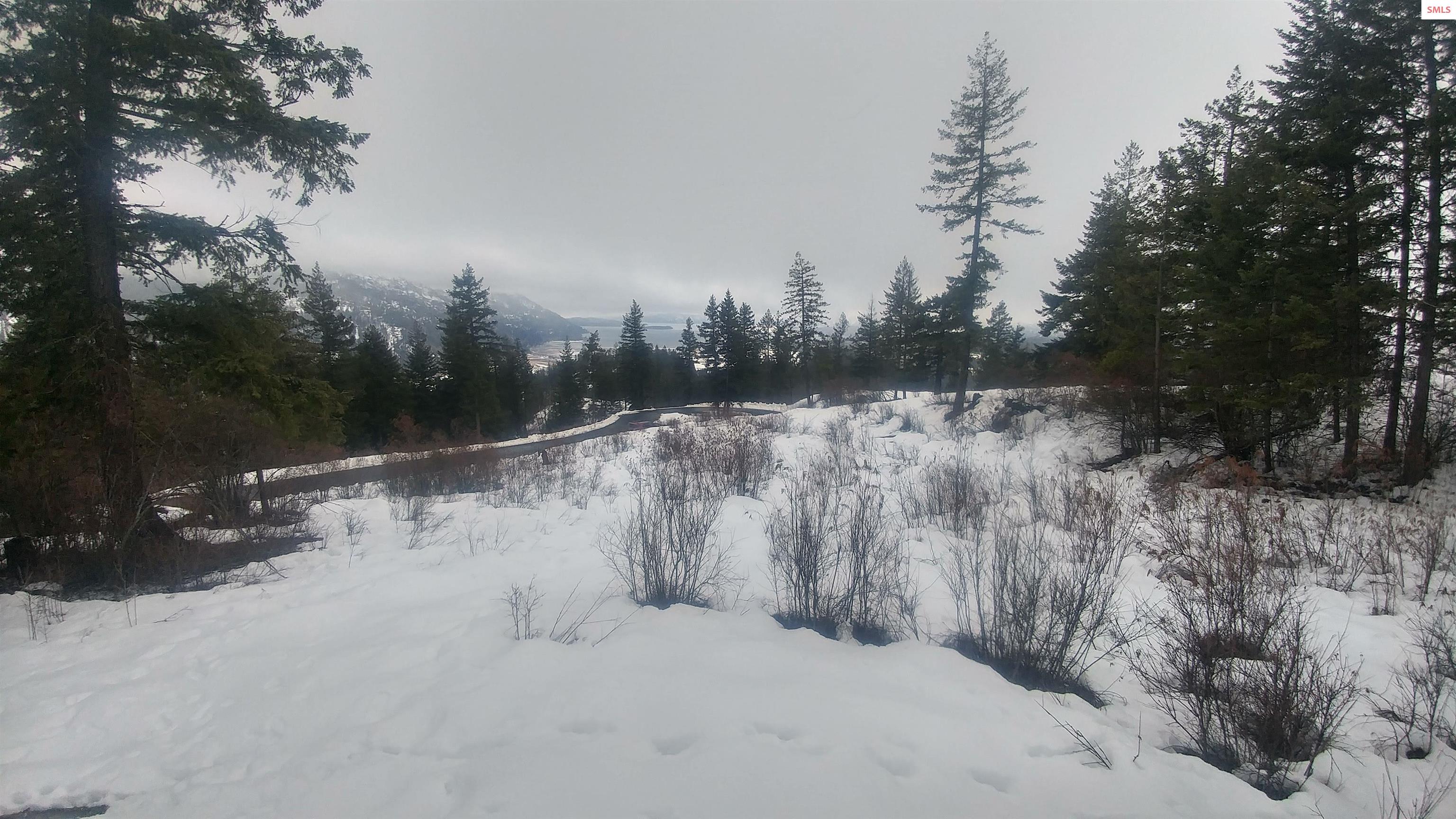 NNA T1-B Green Monarch