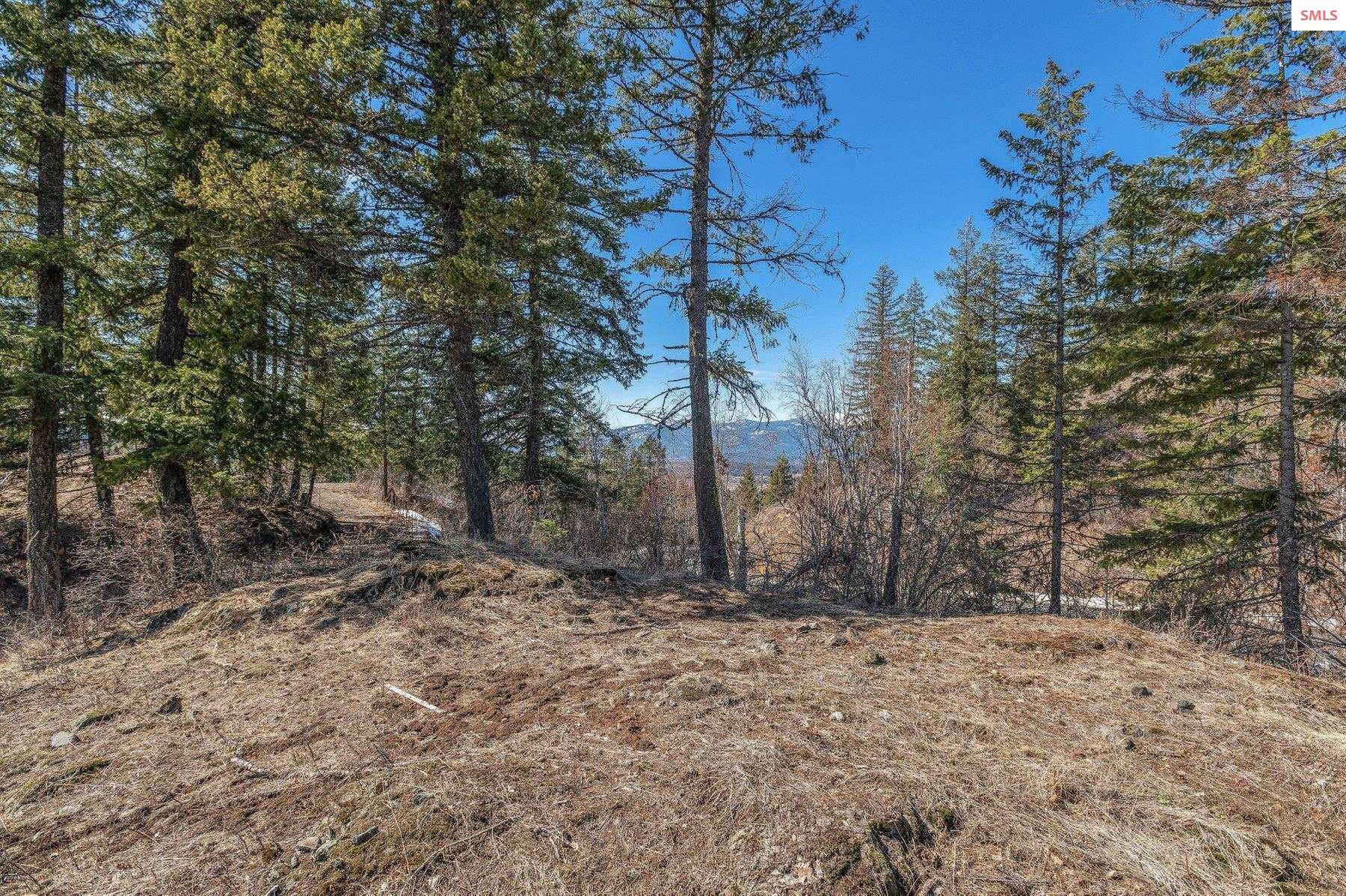 NNA T1-B Green Monarch