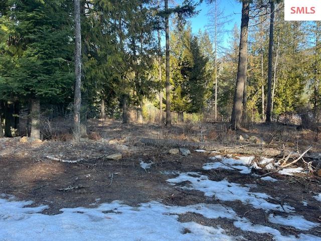 111 Forest Highland