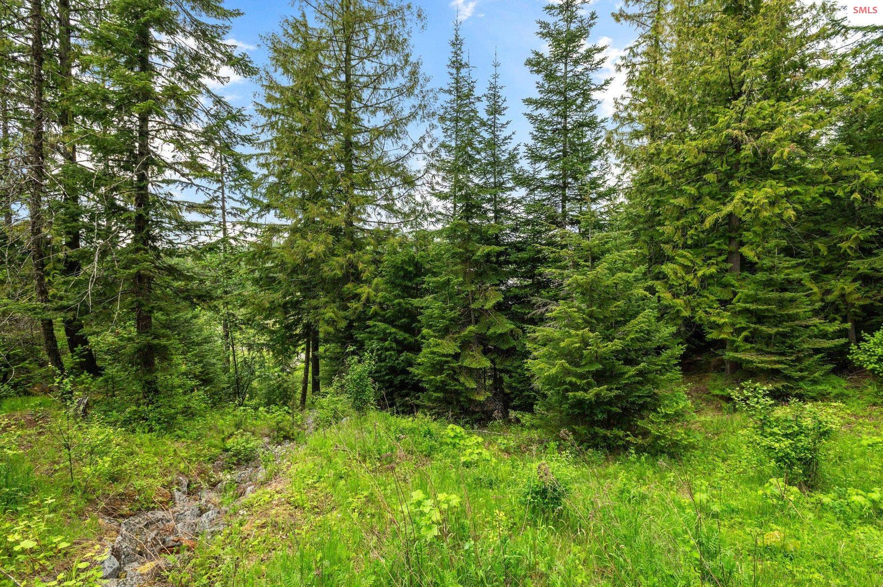 NNA B7 Wildflower Way