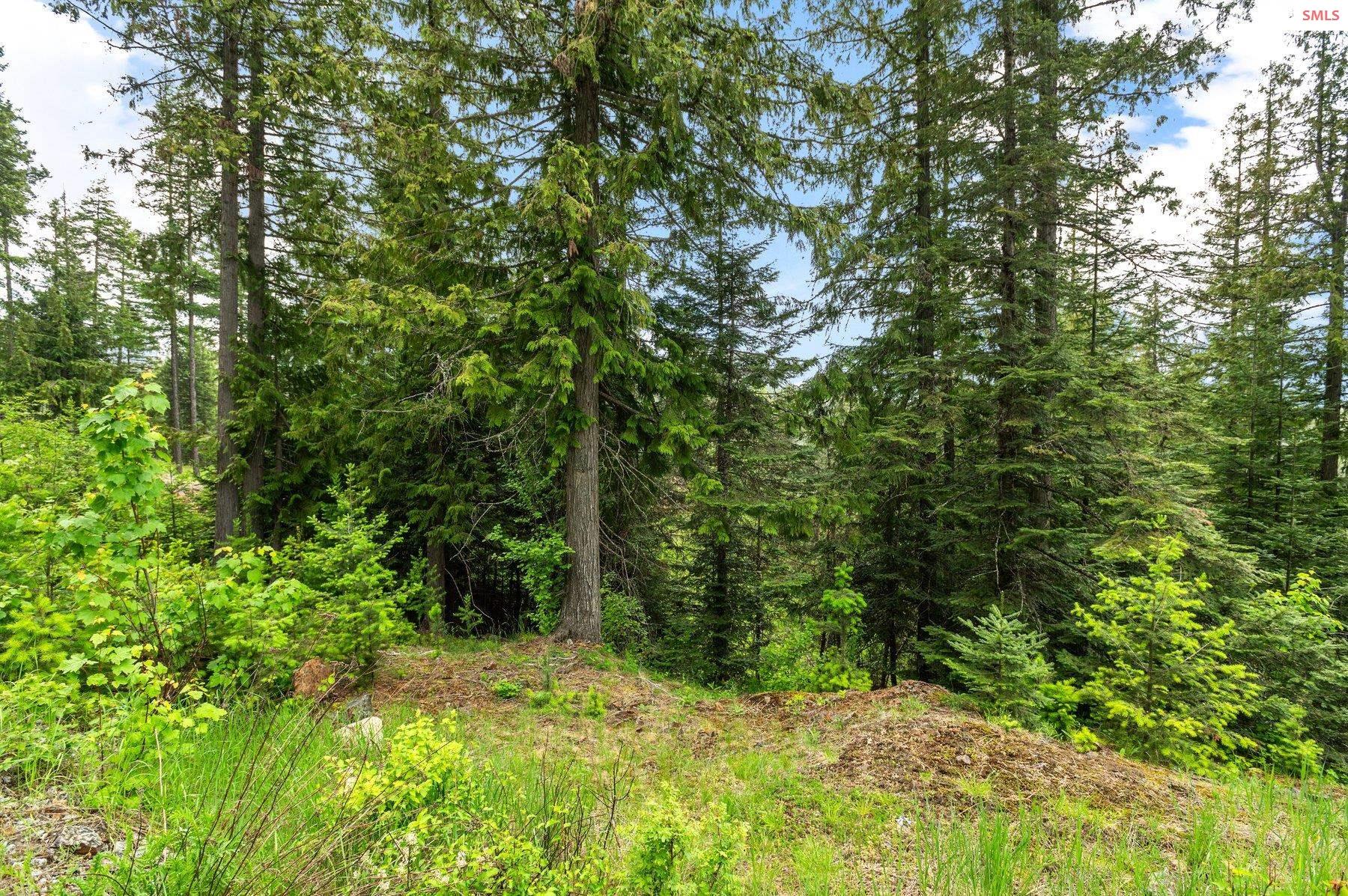 NNA B7 Wildflower Way