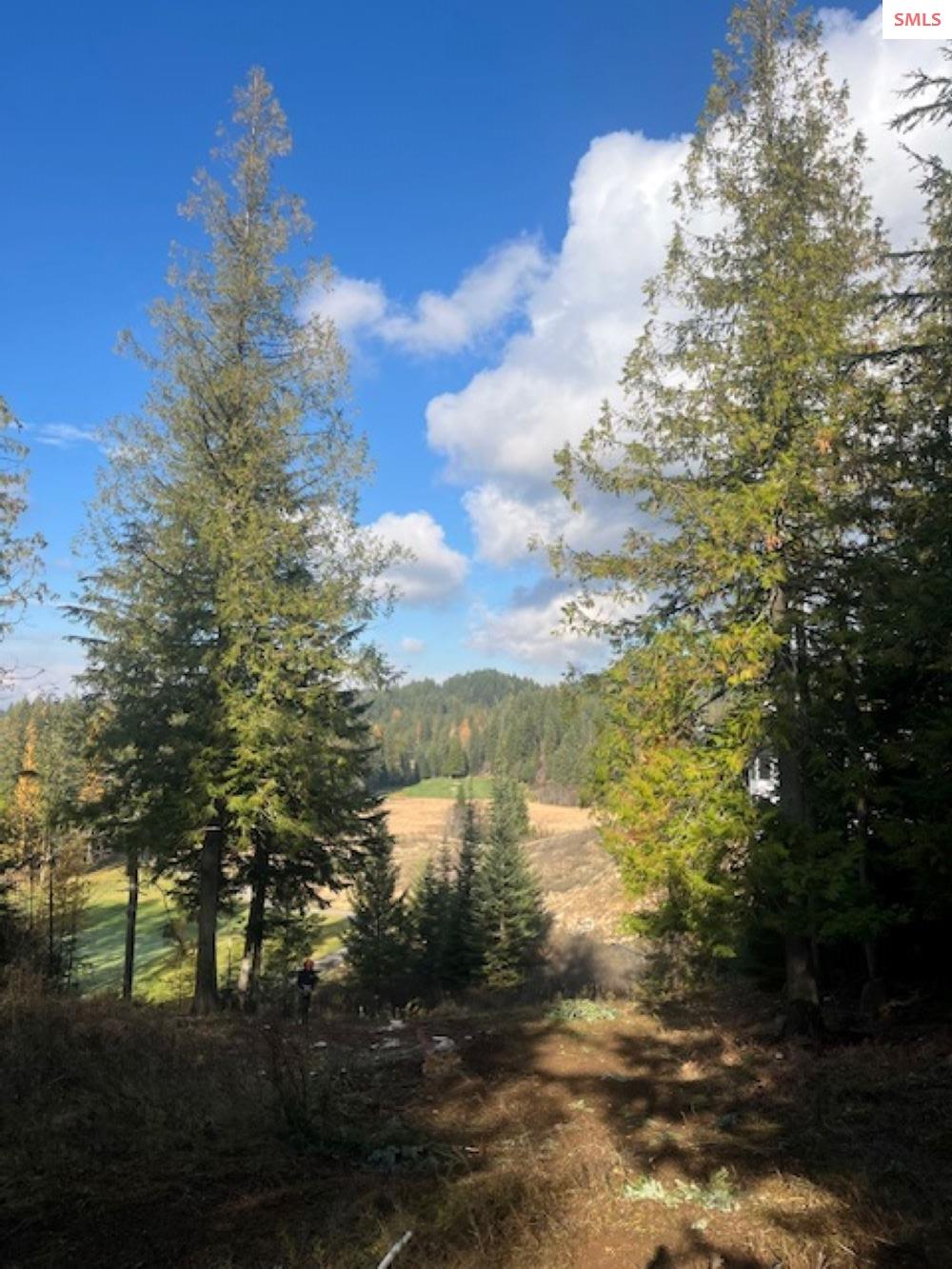 NNA B7 Wildflower Way