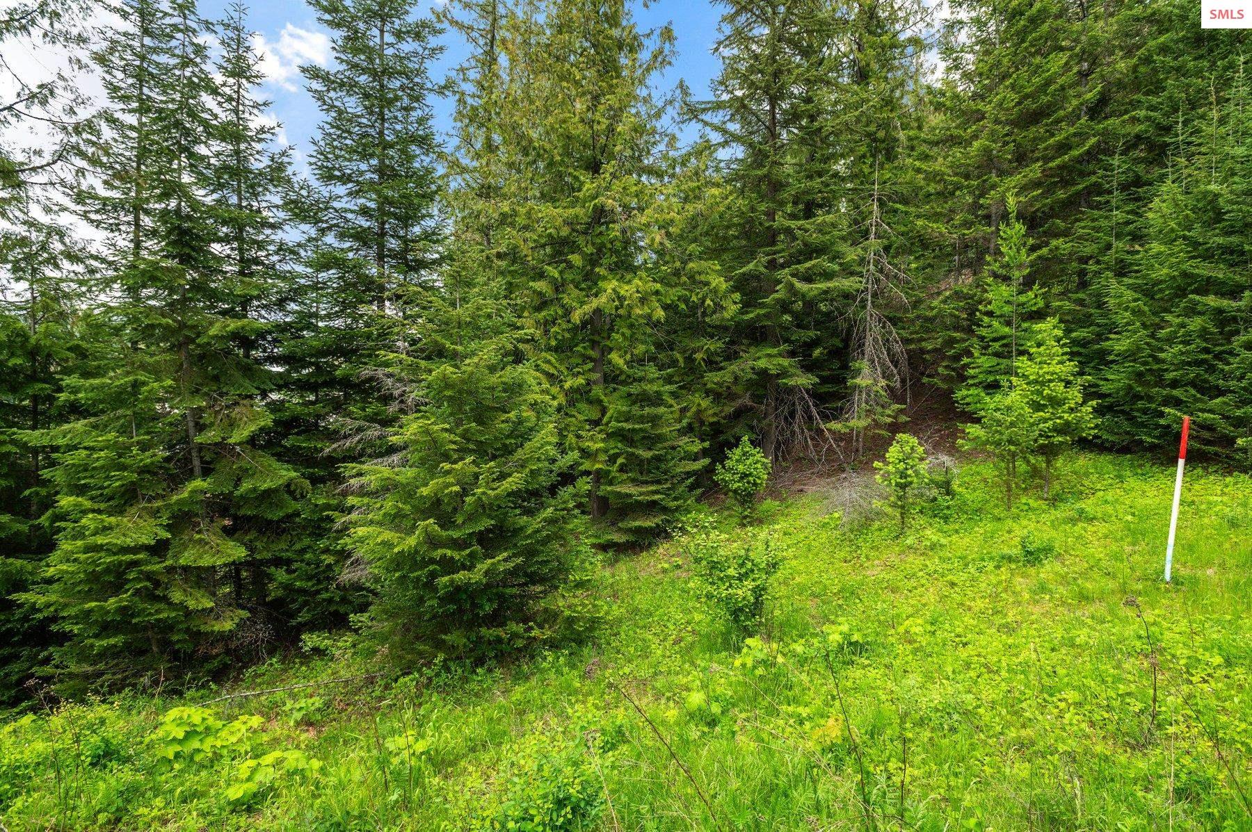 NNA B7 Wildflower Way