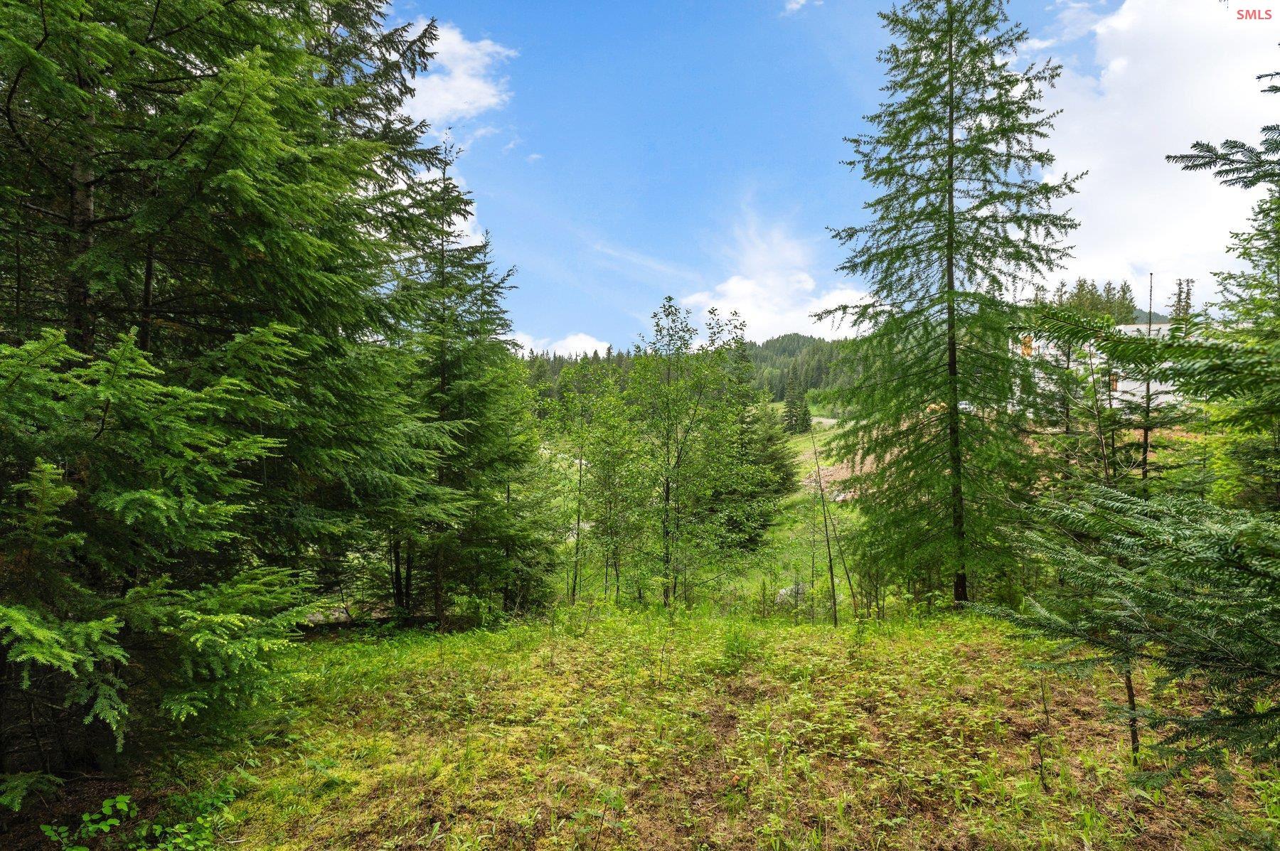 NNA B7 Wildflower Way