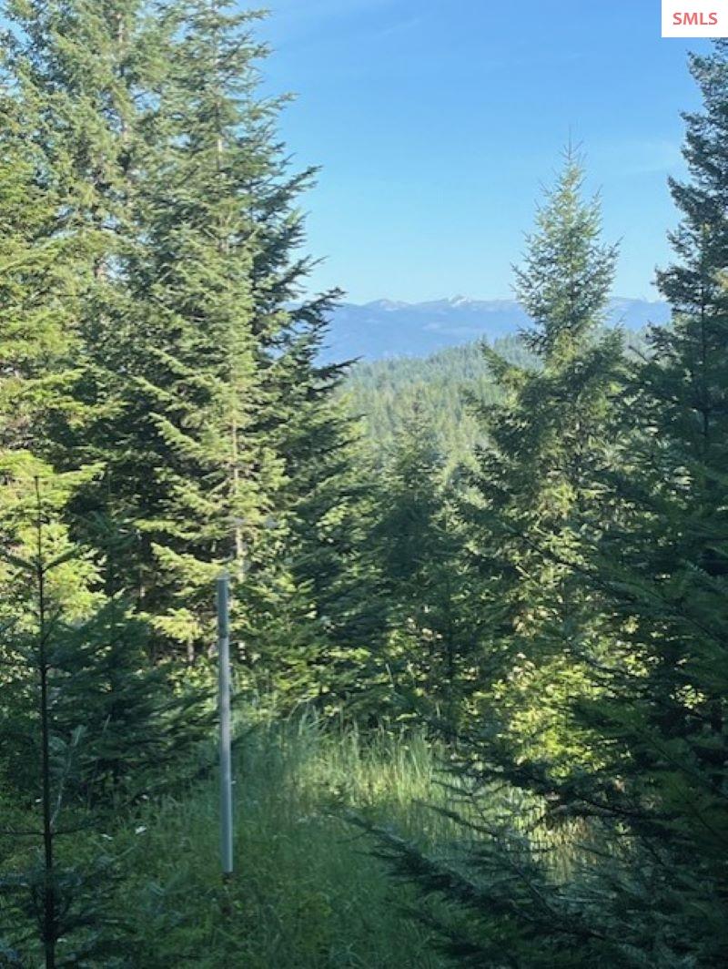 NNA C35 White Cloud Drive