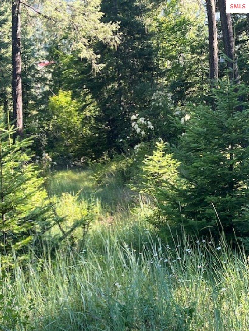 NNA C35 White Cloud Drive